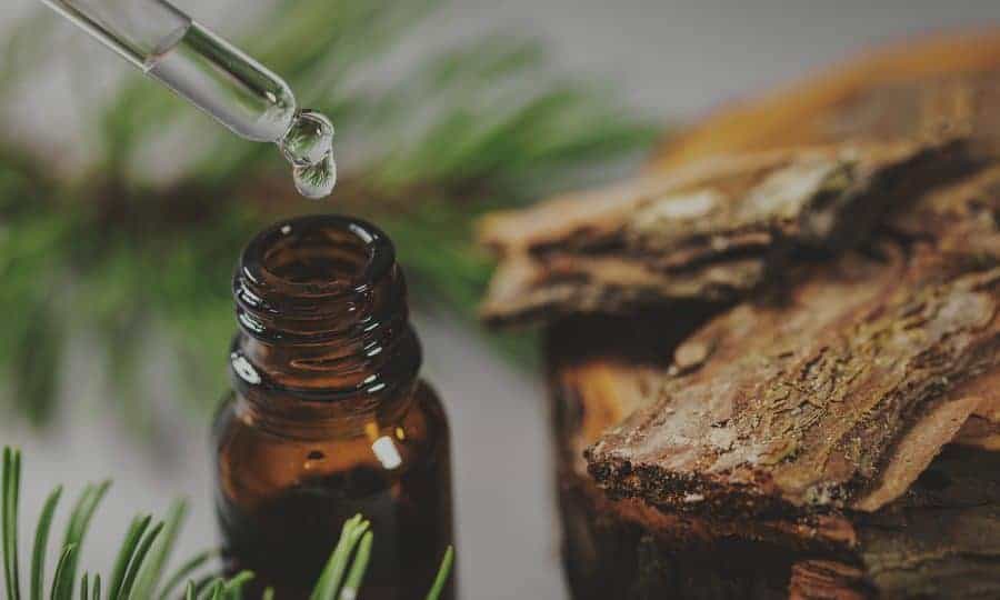 CBD for digestive health